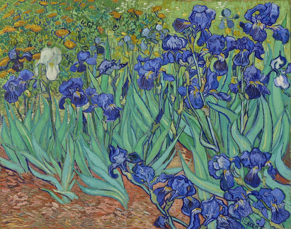 Lírios - Vincent Van Gogh (1889) (1).JPG